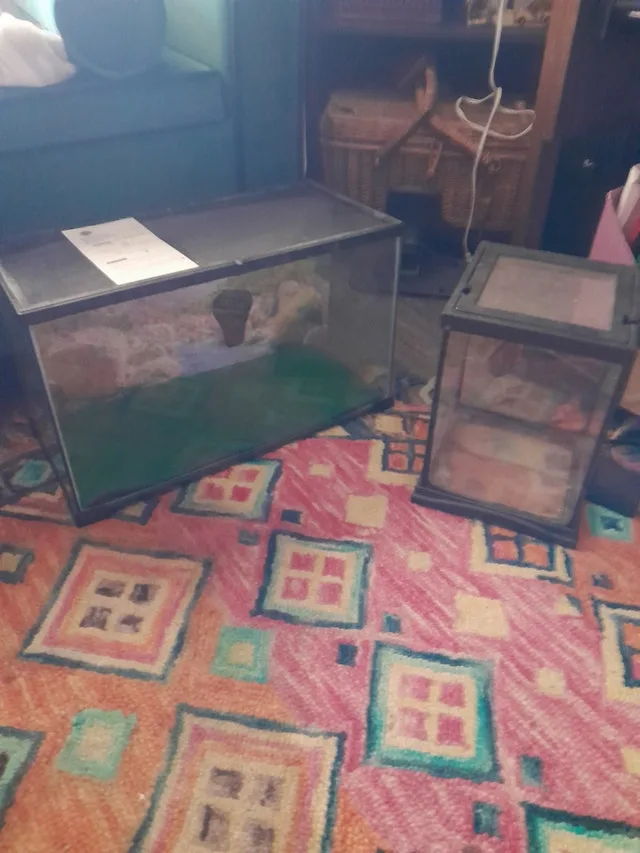 **DREAM DEAL!! **AQUARIUMS AND ACCESSORIES !!! image indicator(4)