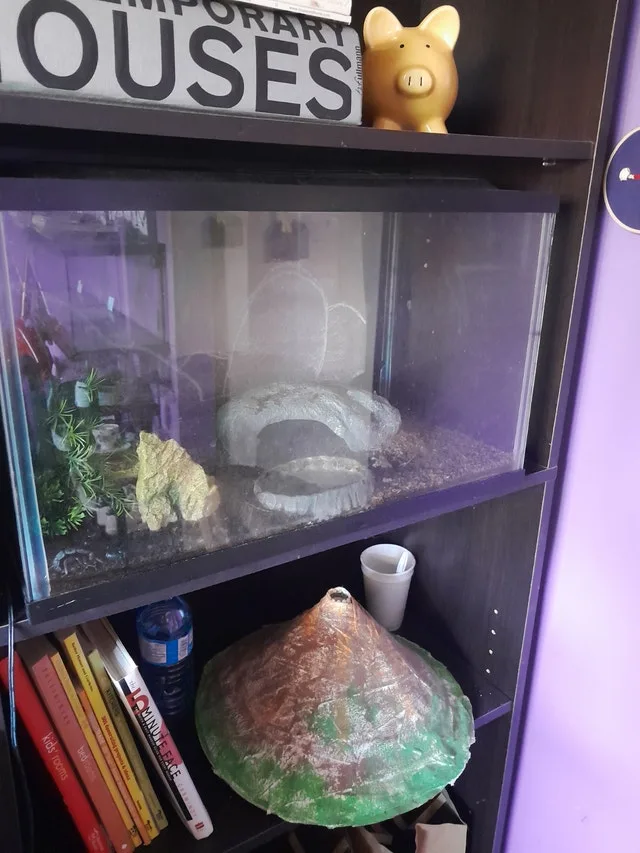 **DREAM DEAL!! **AQUARIUMS AND ACCESSORIES !!! image indicator(5)