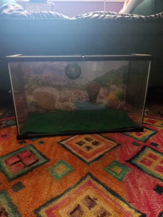 **DREAM DEAL!! **AQUARIUMS AND ACCESSORIES !!! image indicator(8)
