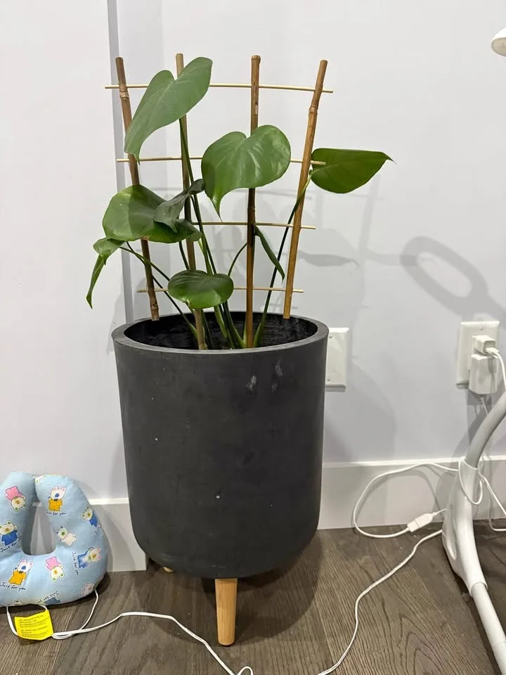 Two big pots with legs