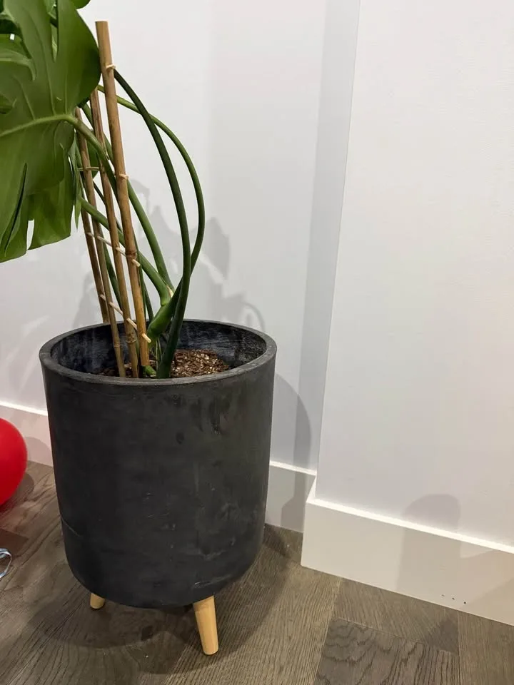 Two big pots with legs image indicator(2)