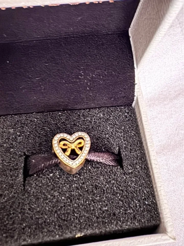 Pandora Charm image indicator(2)