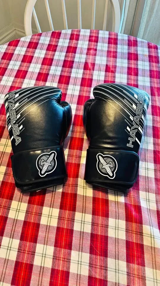 Hayabusa Ikusa Charged 16 oz Sparring Gloves