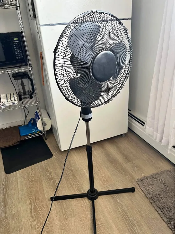 Pedestal fan