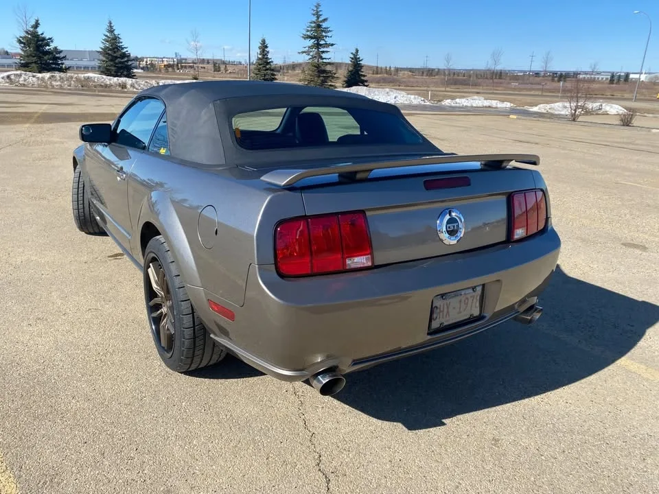 2005 Ford Mustang GT image indicator(6)