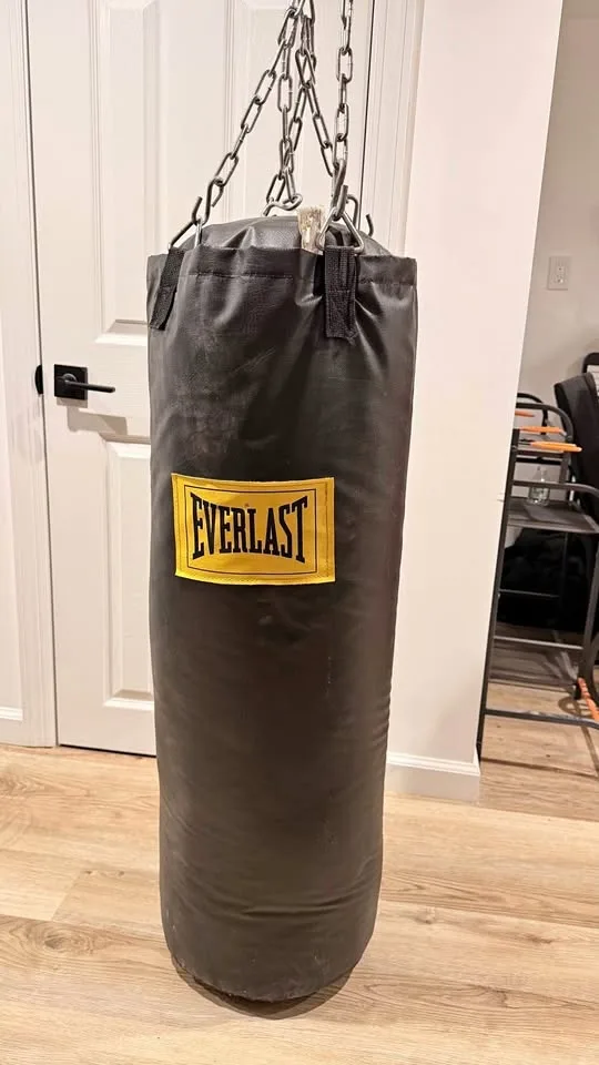 everlast punching bag