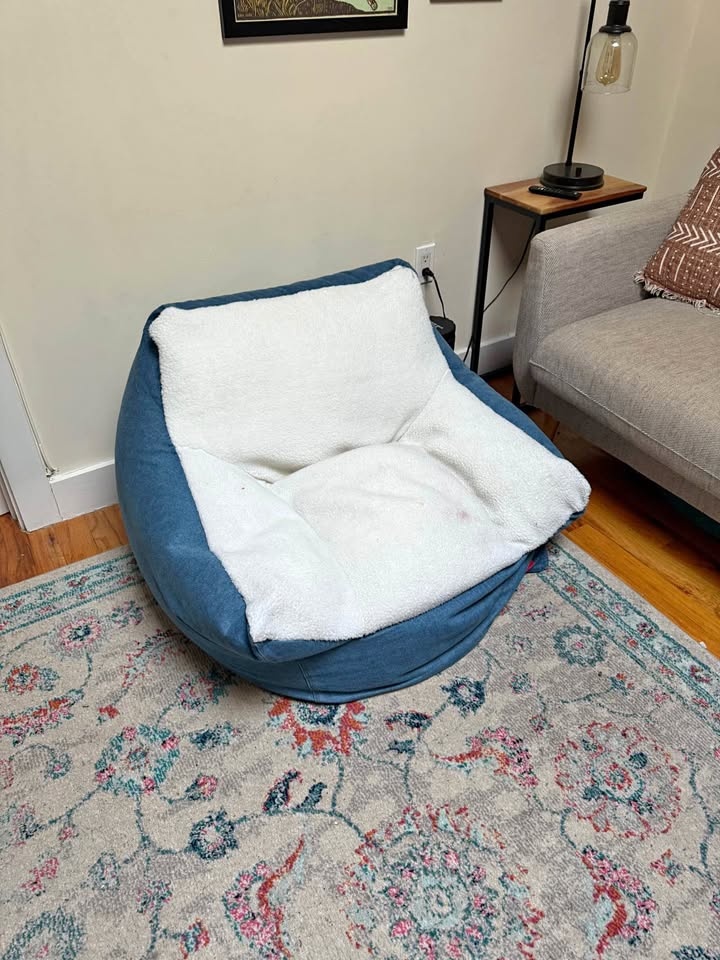 Target Denim Levi’s Bean Bag