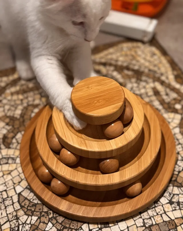 Wooden Cat Toy