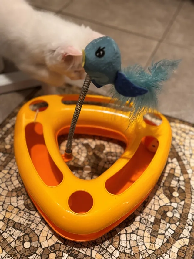 Frisco Bird Track Cat Toy