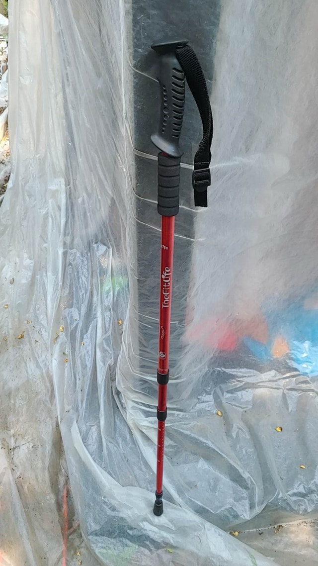 TheFitLife Walking Stick 2 available