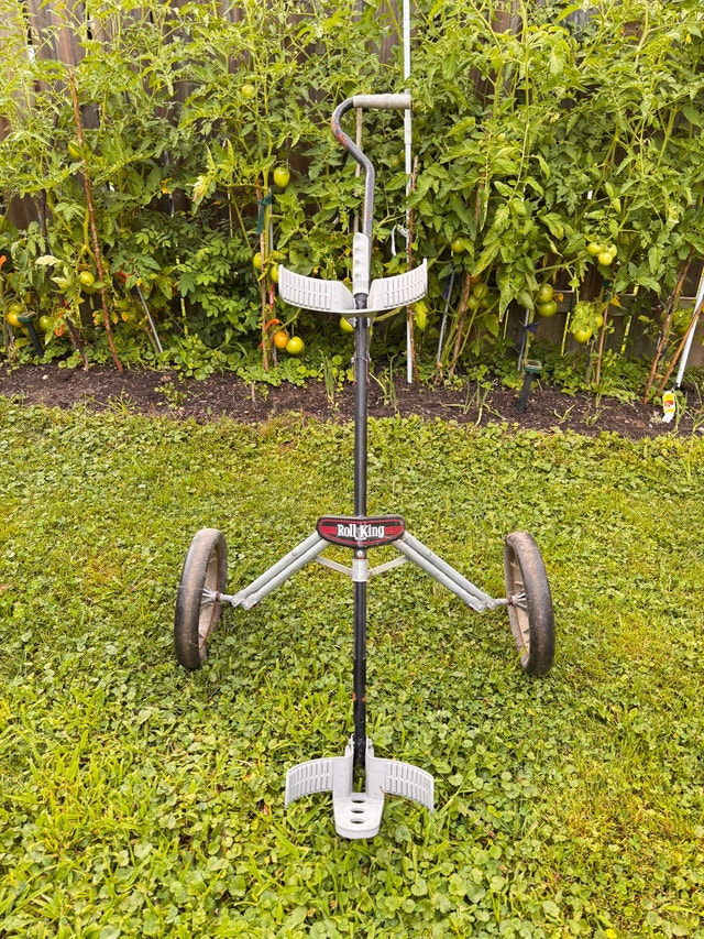 Roll King Golf Cart