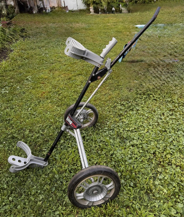 Roll King Golf Cart - photo 2