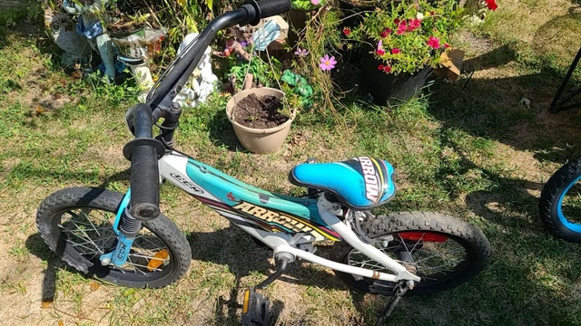 CCM Arrow 14-inch Bike