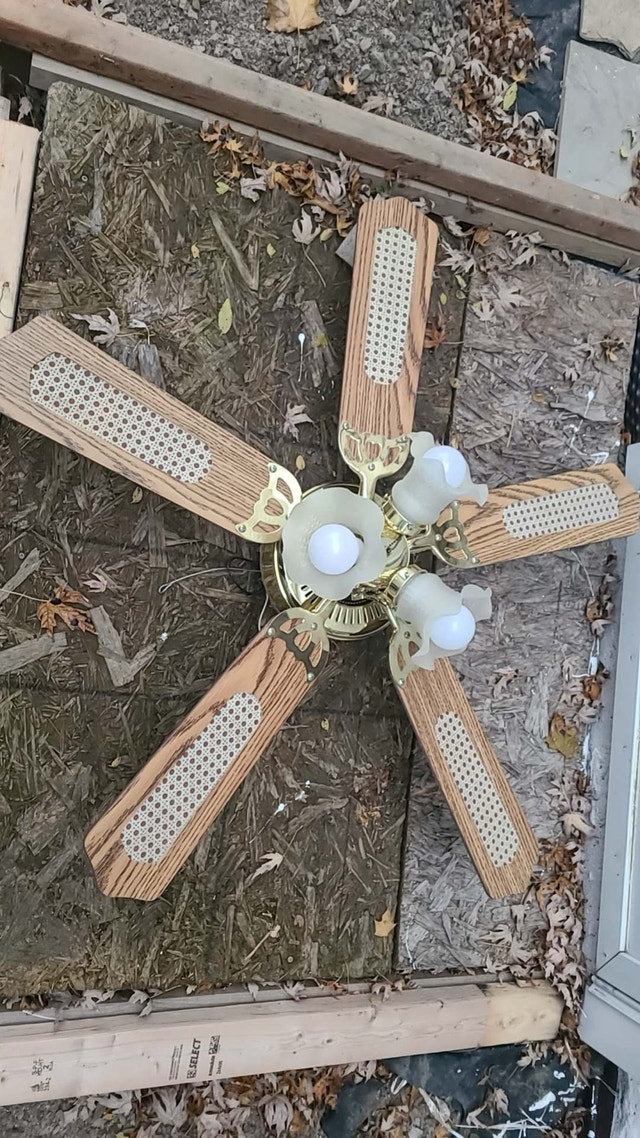 Ceiling Fan