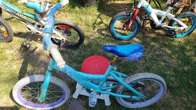 Frozen Bike