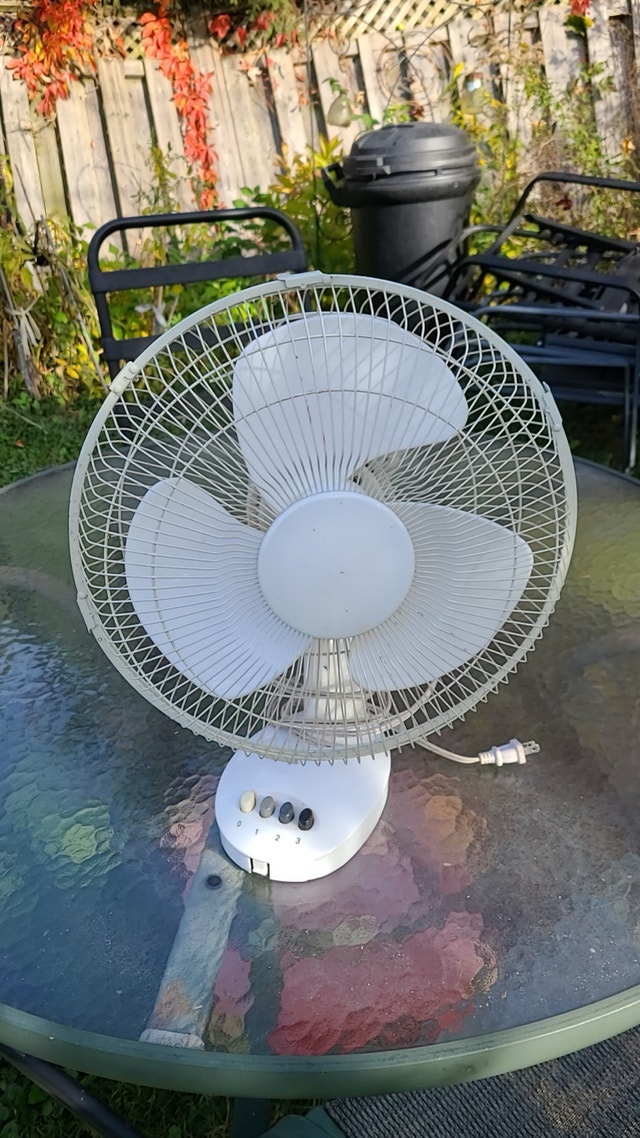 Table fan