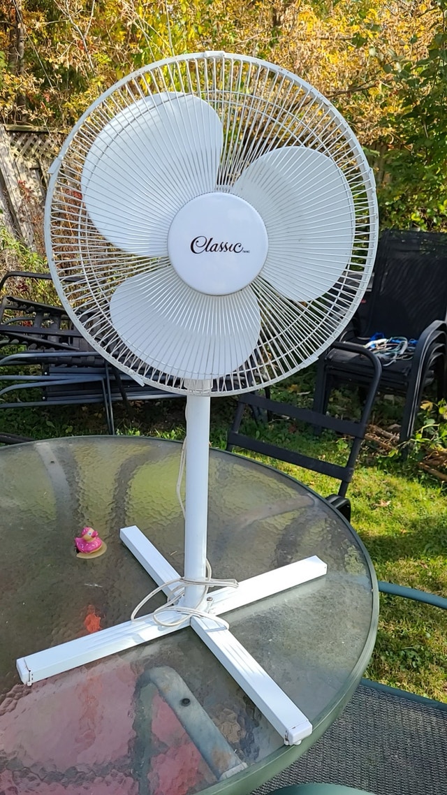 High fan