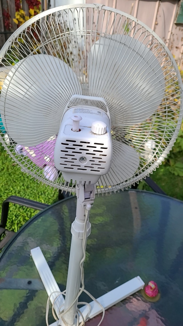 High fan - photo 2