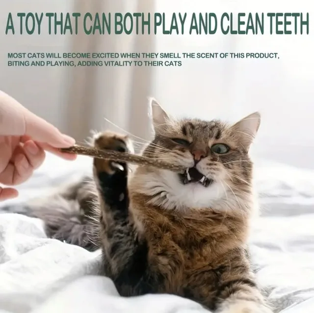 Cat Sticks - Natural Cat Chew Toys