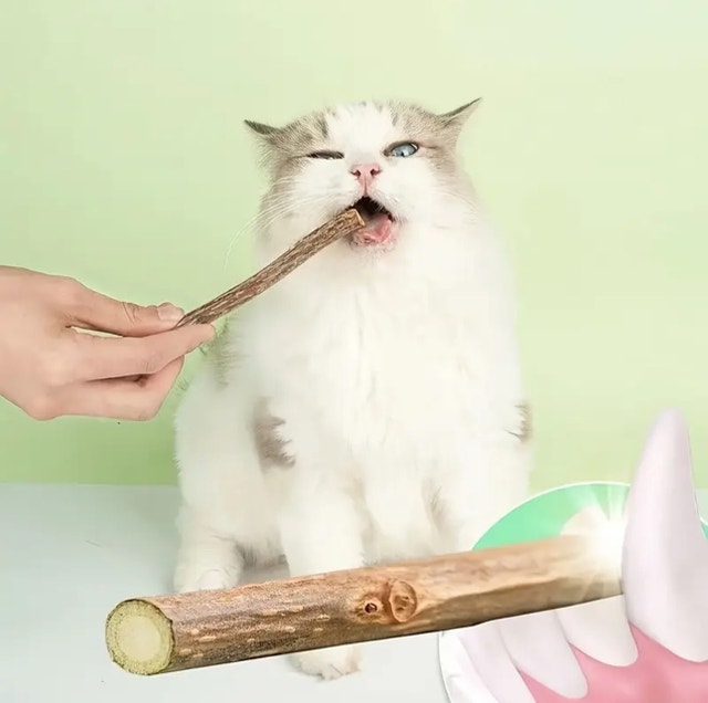 Cat Sticks - Natural Cat Chew Toys - photo 3