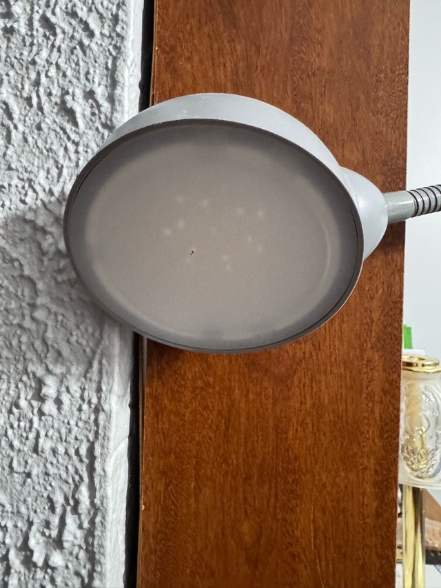 OttLite Desk Lamp - photo 2