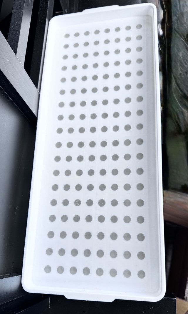 Germination Tray