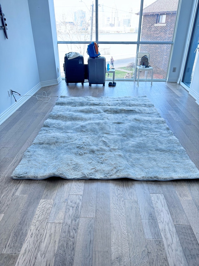 Area Rug