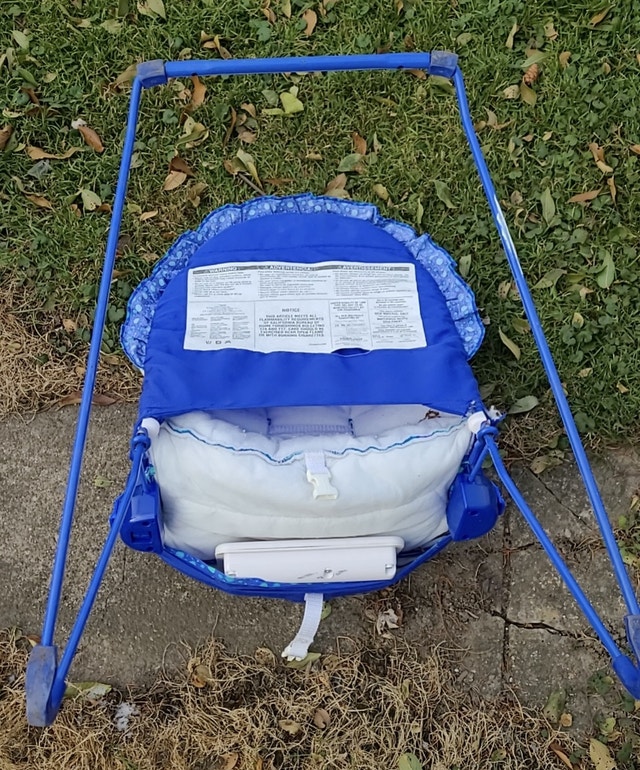 Fisher-Price Aquarium Bouncer - photo 2