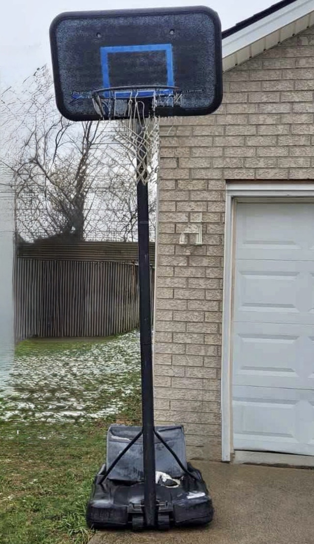 Basketball Net