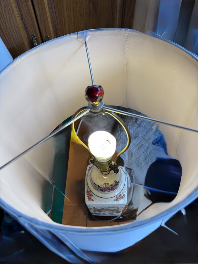 Peacock Table Lamp - photo 4