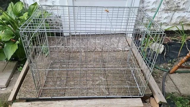Metal Wire Animal big Cage