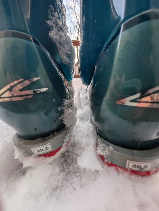 Lange Ski Boots - 28.5 image indicator(4)