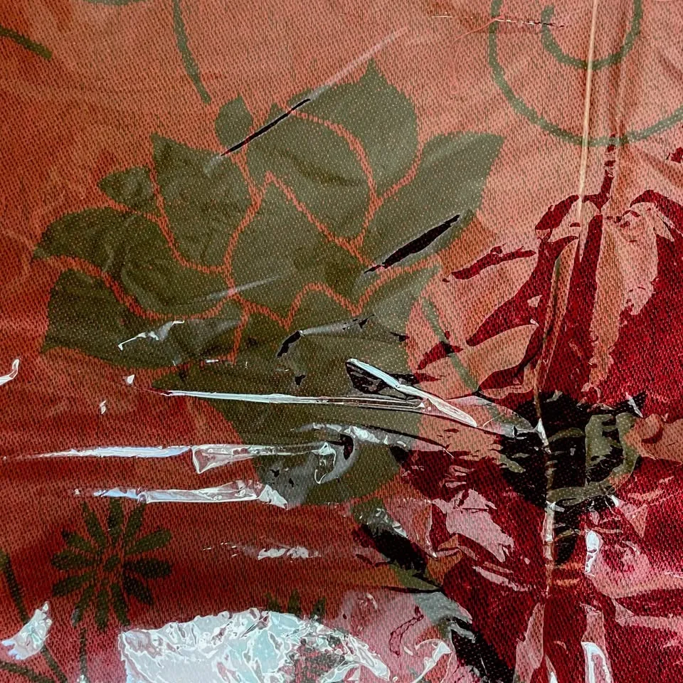 Luxury Pashmina & Silk Scarf/Shawl image indicator(5)