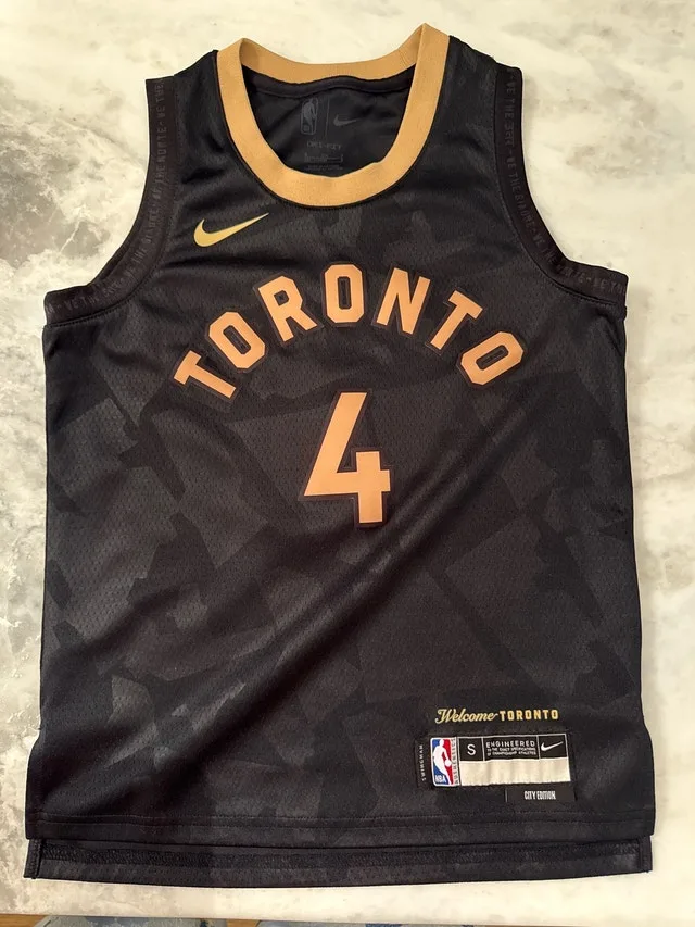 Nike Raptors Barnes Jersey City Edition