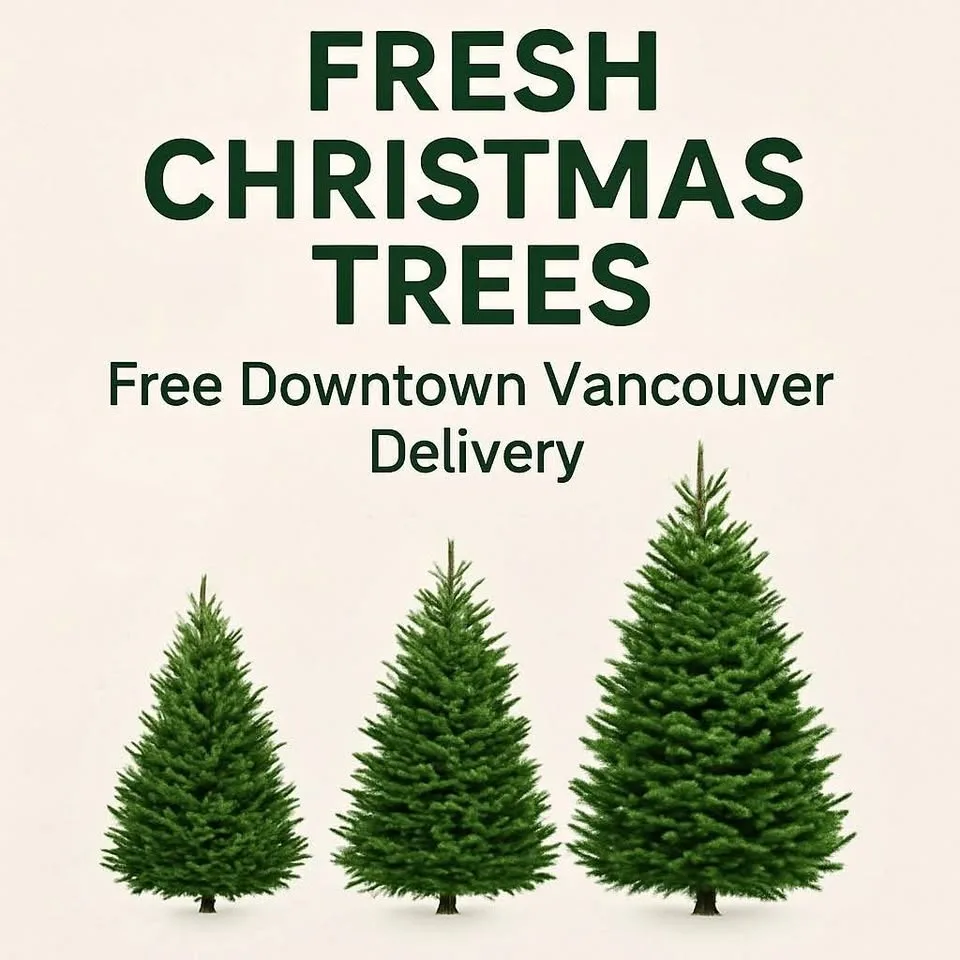 Real Fir Christmas Trees Delivered Downtown