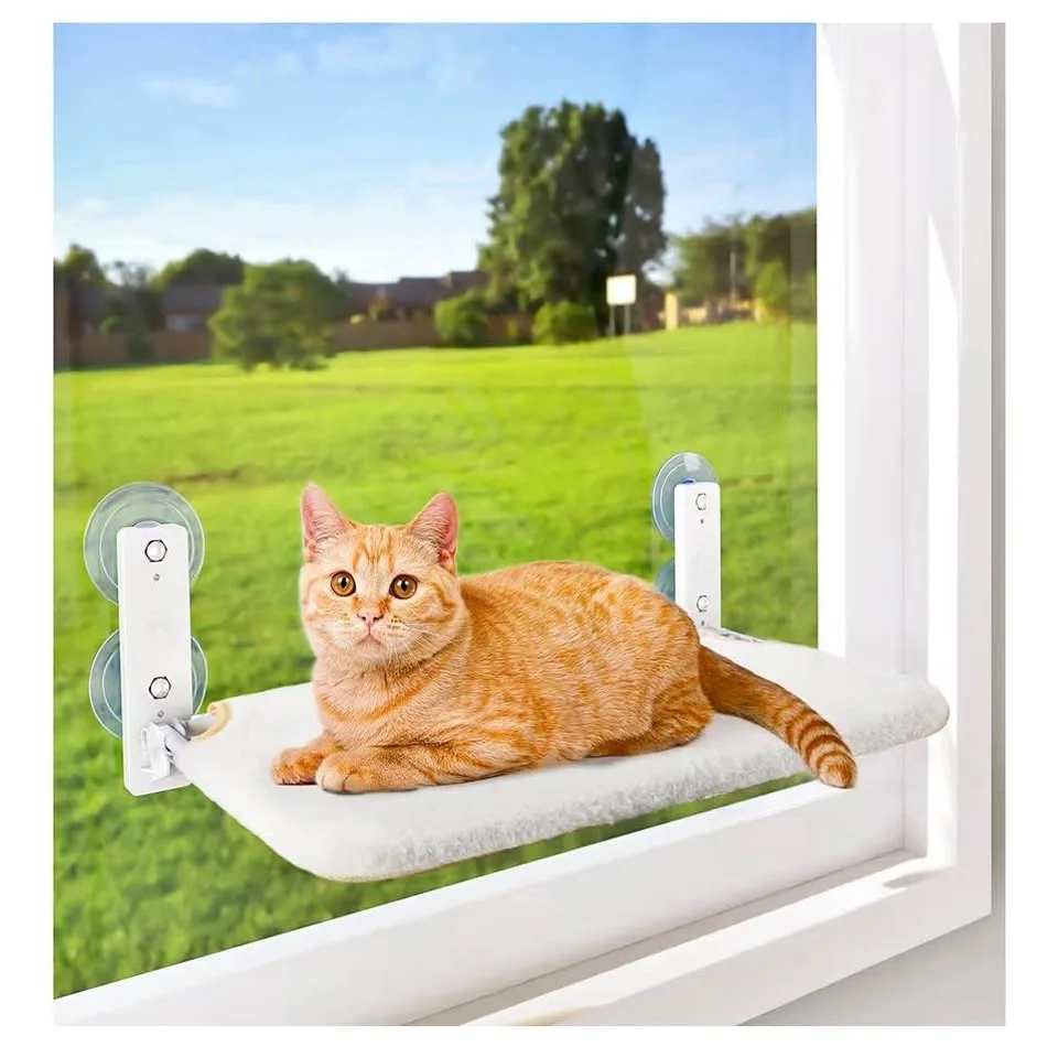 Cat window perch