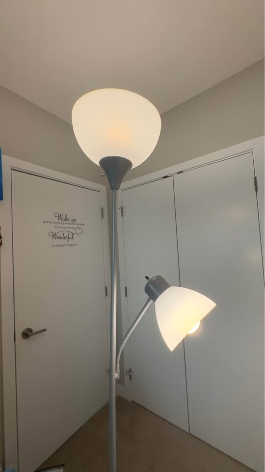 Floor lamp with two sengled smart bulbs controlled by alexa - photo 3