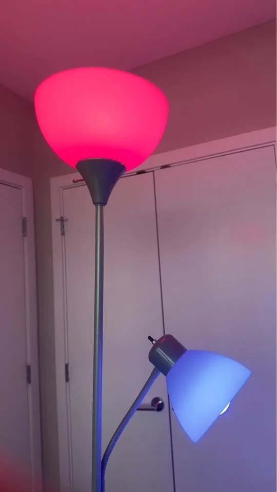 Floor lamp with two sengled smart bulbs controlled by alexa image indicator(4)