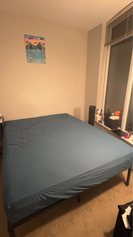 Queen metal bedframe and mattress - photo 5