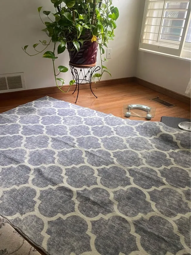 New Washable Rug 4 X 6 feet for Bedroom Entryway Dining Room