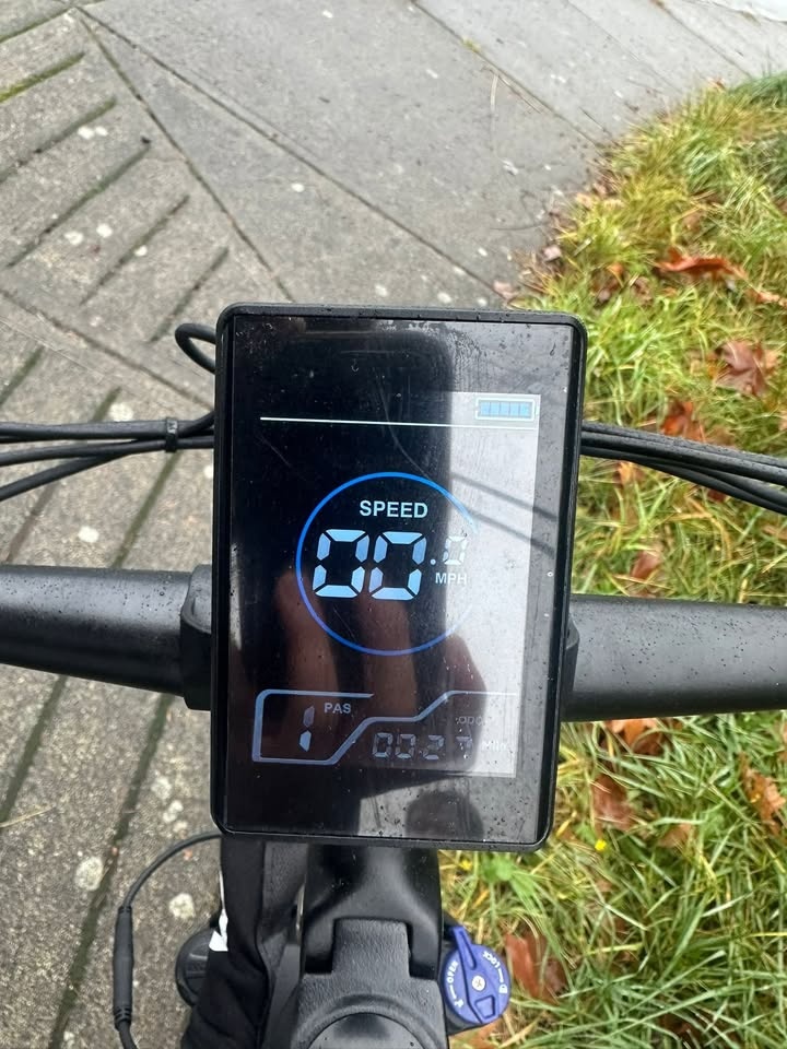 Jasion EB5 Plus E-Bike - photo 2