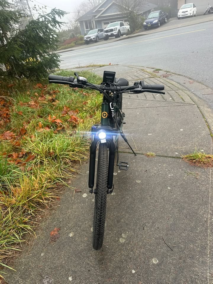 Jasion EB5 Plus E-Bike - photo 4