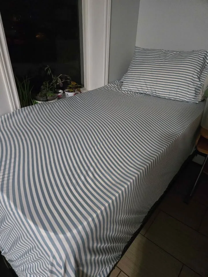 2 single mattress, 1 single bed frame, 1 single spring box image indicator(5)