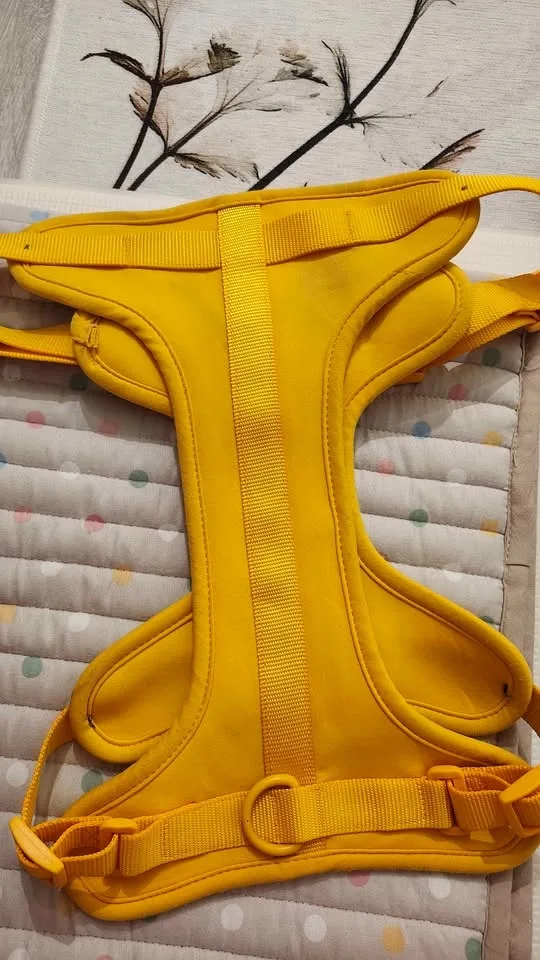 Harness for big dog image indicator(6)