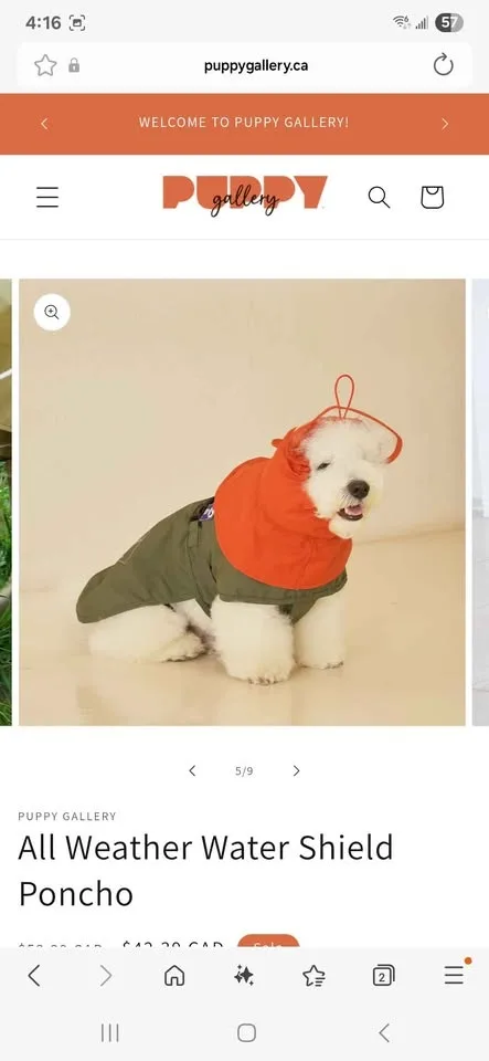 Big dog clothes image indicator(3)