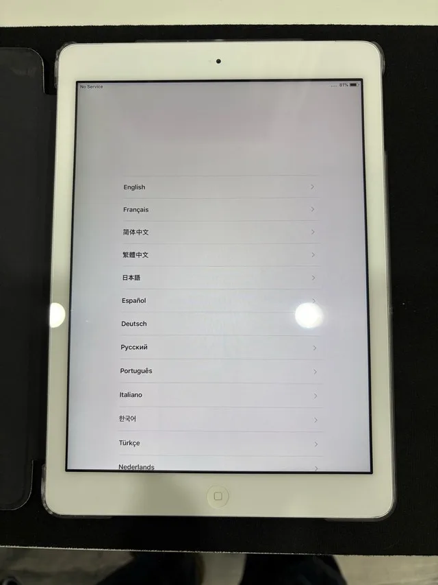 iPad Air 32G wifi+cellular silver image indicator(3)