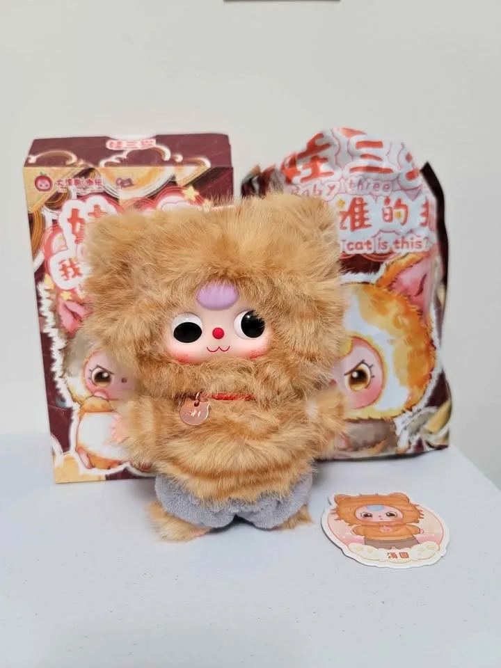 Bb3 Baby three orange tabby cat Who's Cat Is This?