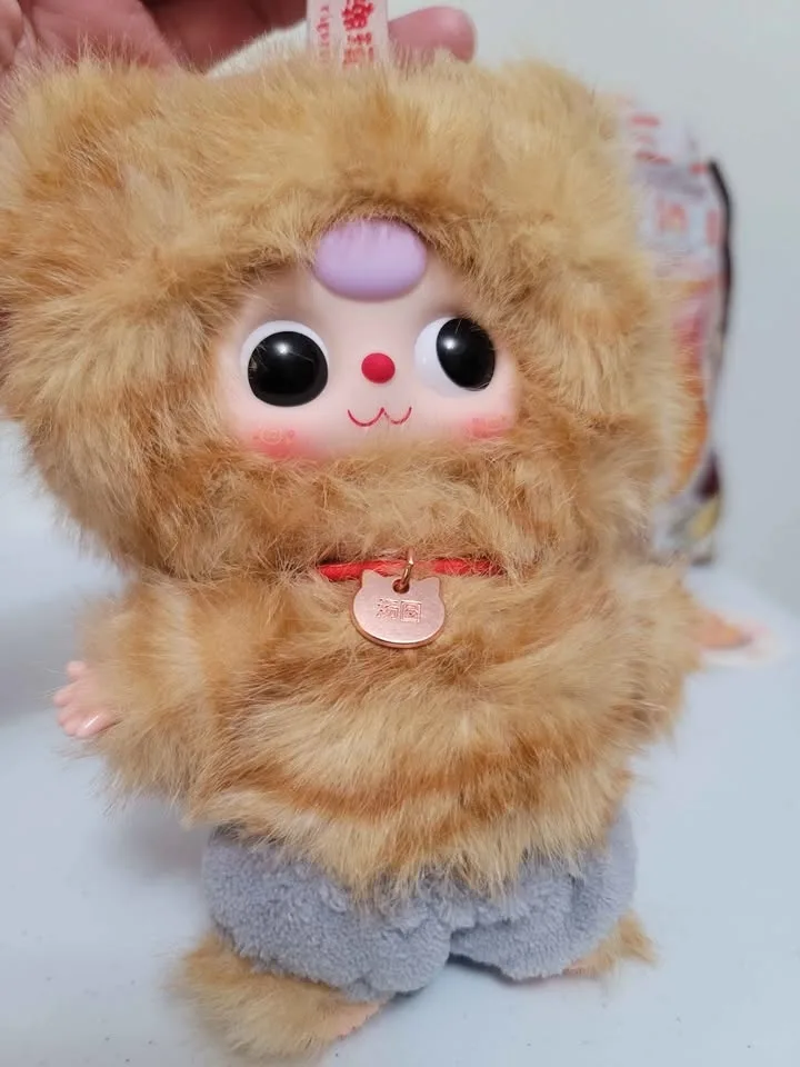 Bb3 Baby three orange tabby cat Who's Cat Is This? image indicator(2)