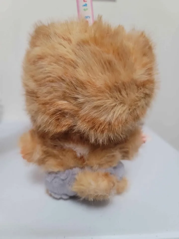 Bb3 Baby three orange tabby cat Who's Cat Is This? image indicator(3)