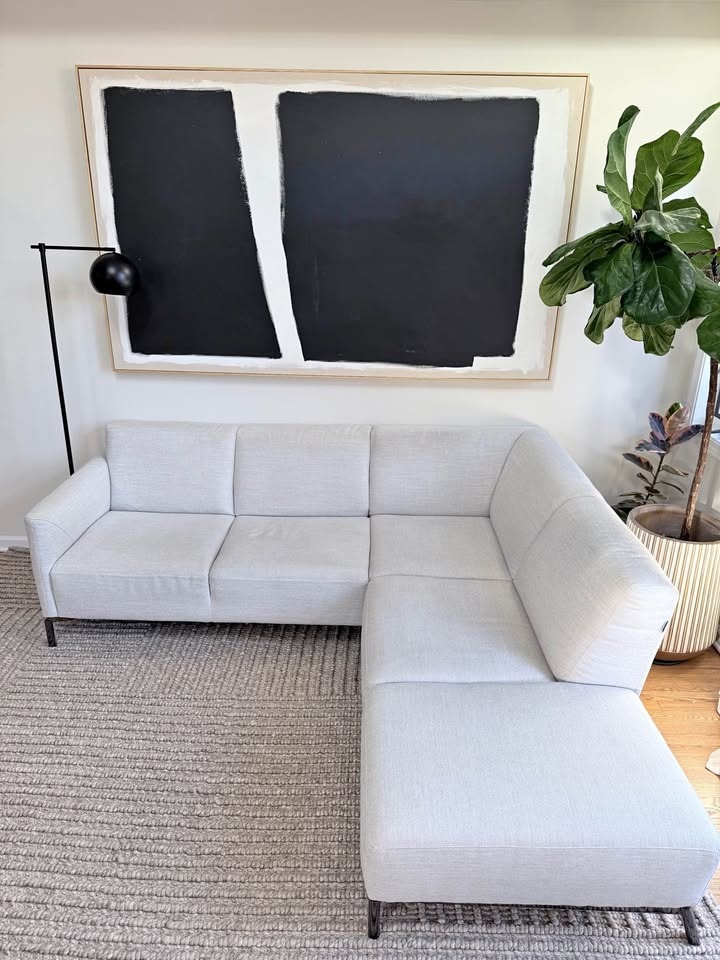 Natuzzi Apt sized sectional